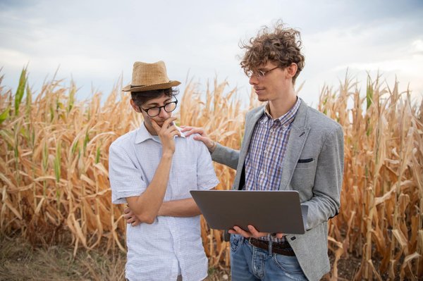 Quels sont les effets de la guerre sur l'expressionnisme allemand ?